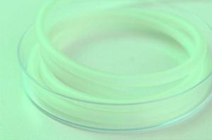 2026年最新版 東広島市の消化器内科を徹底解説！選ばれる理由と信頼できるクリニック一覧