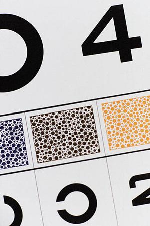 江東区の自然豊かな住環境とリウマチの予防について知ろう