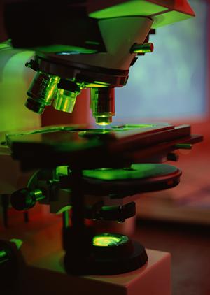 岐阜市で評判の接骨院|痛み改善と予防に最適な施術と選び方